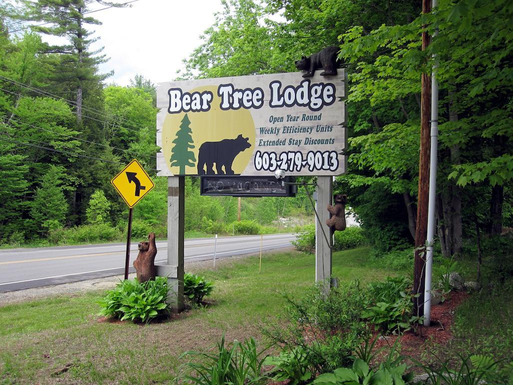 Bear Tree Lodge Weirs Beach Exteriér fotografie
